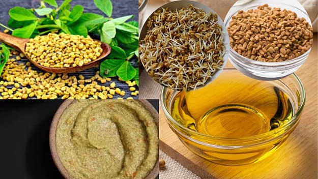 Benefits of Fenugreek (Methi) for hair